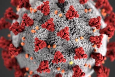 A close up of a Corona Virus Molecule
